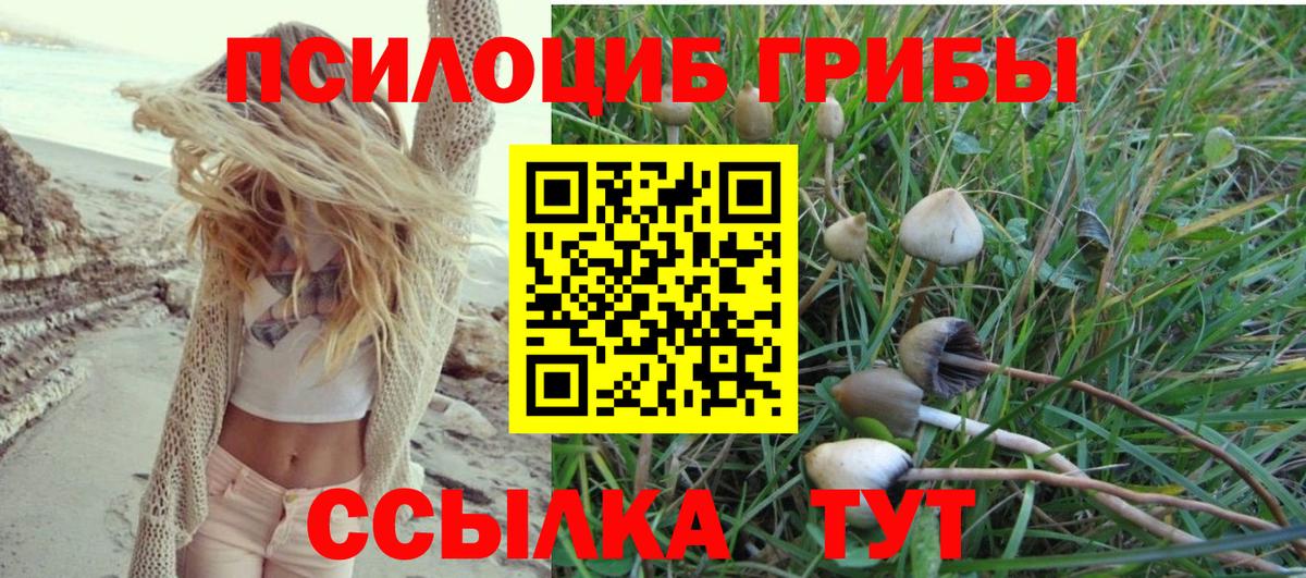 Бийск  Галлюциногенные грибы прущие грибы  Вход с VPN 
